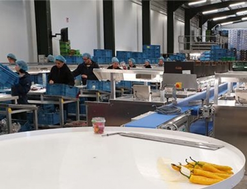 LRE installeert Project Ammerlaan 4 Polders
