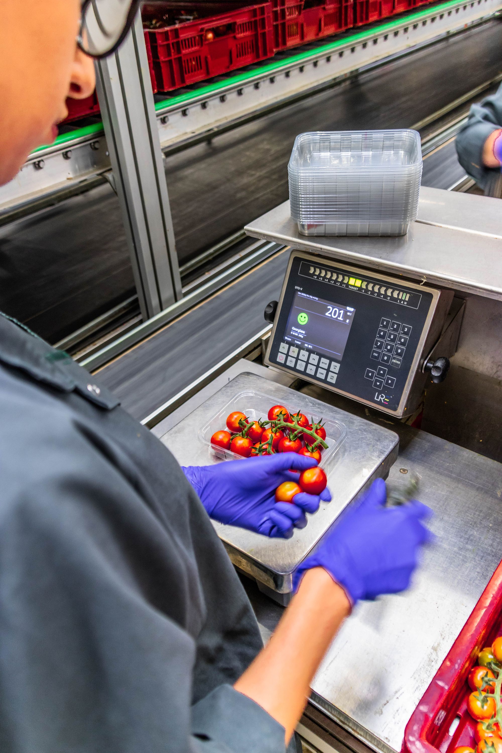 Slim wegen en registeren van tomaten