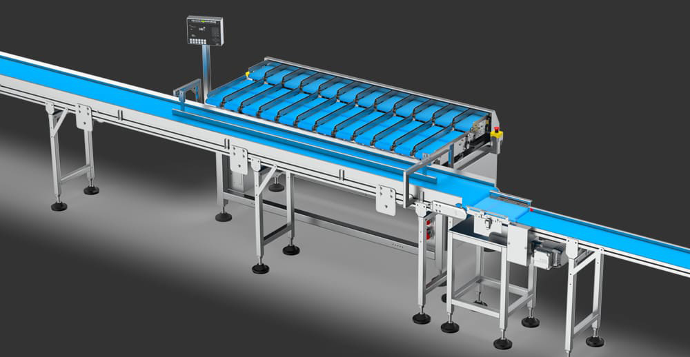 Multihead with smart weighing technology to reduce give-away and increase packing speed.