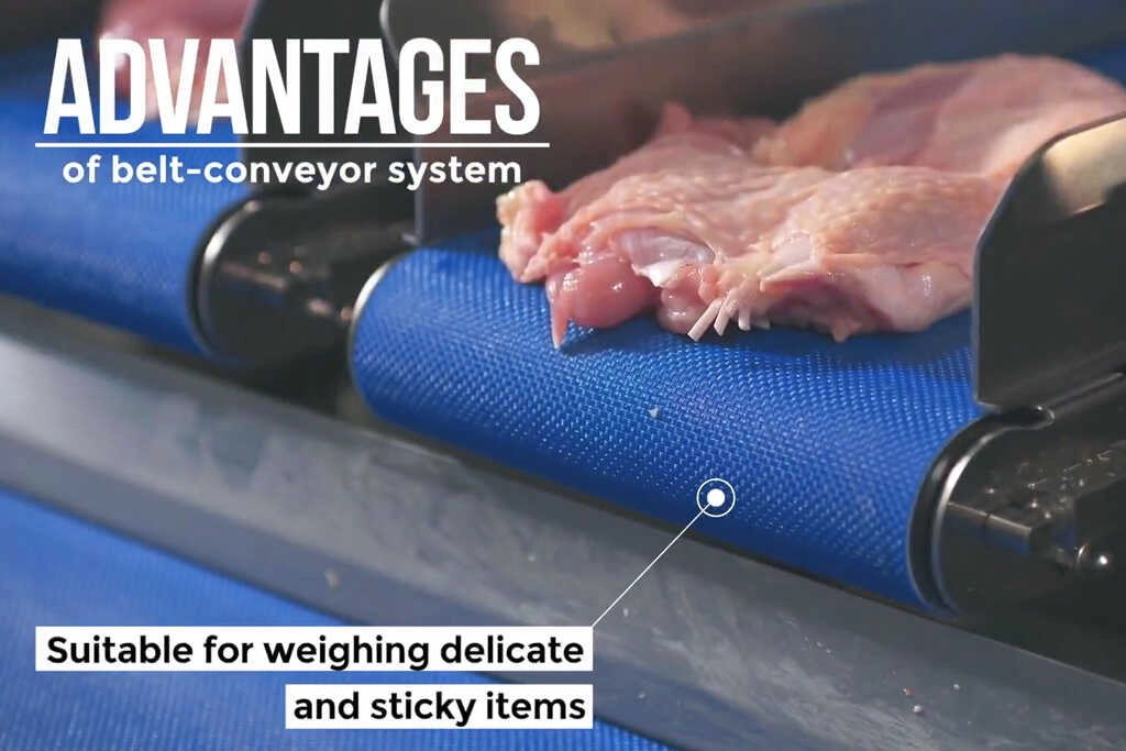 Conveyor for checkweigher.